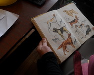 «Инновационные методы продвижения детской книги»:
творческая мастерская сельского библиотекаря
