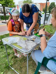 ОРЛОВСКАЯ АЗБУКА И ДРУГИЕ ТАЙНЫ