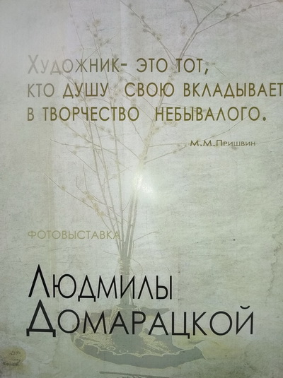 Цветут цветы