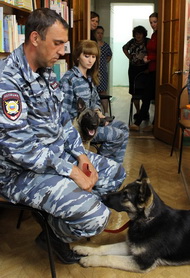 Собаки на войне