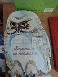 Книга - путешественница