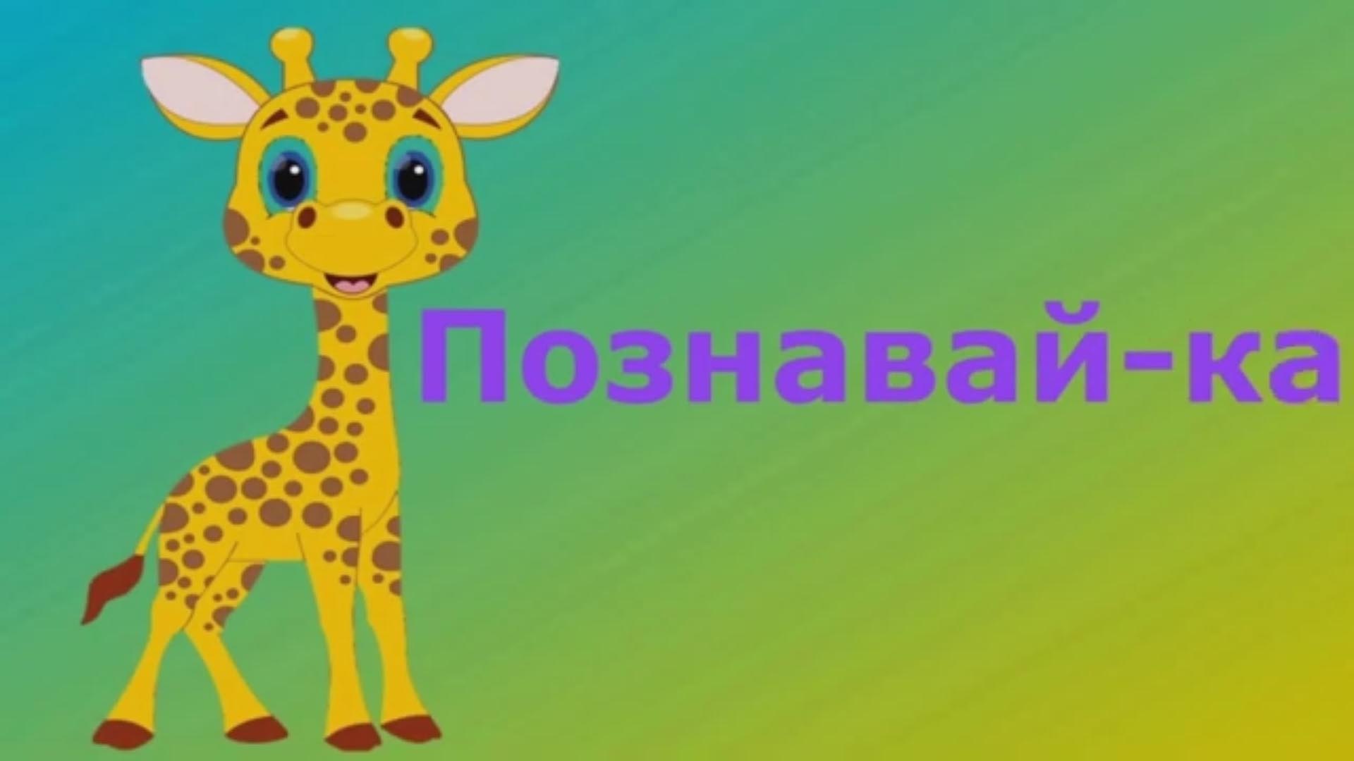 Познавай-ка. Увлекательная физика