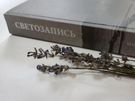 Пришвинские новинки
