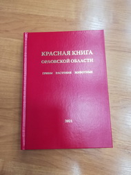 «Разговор о важном»: