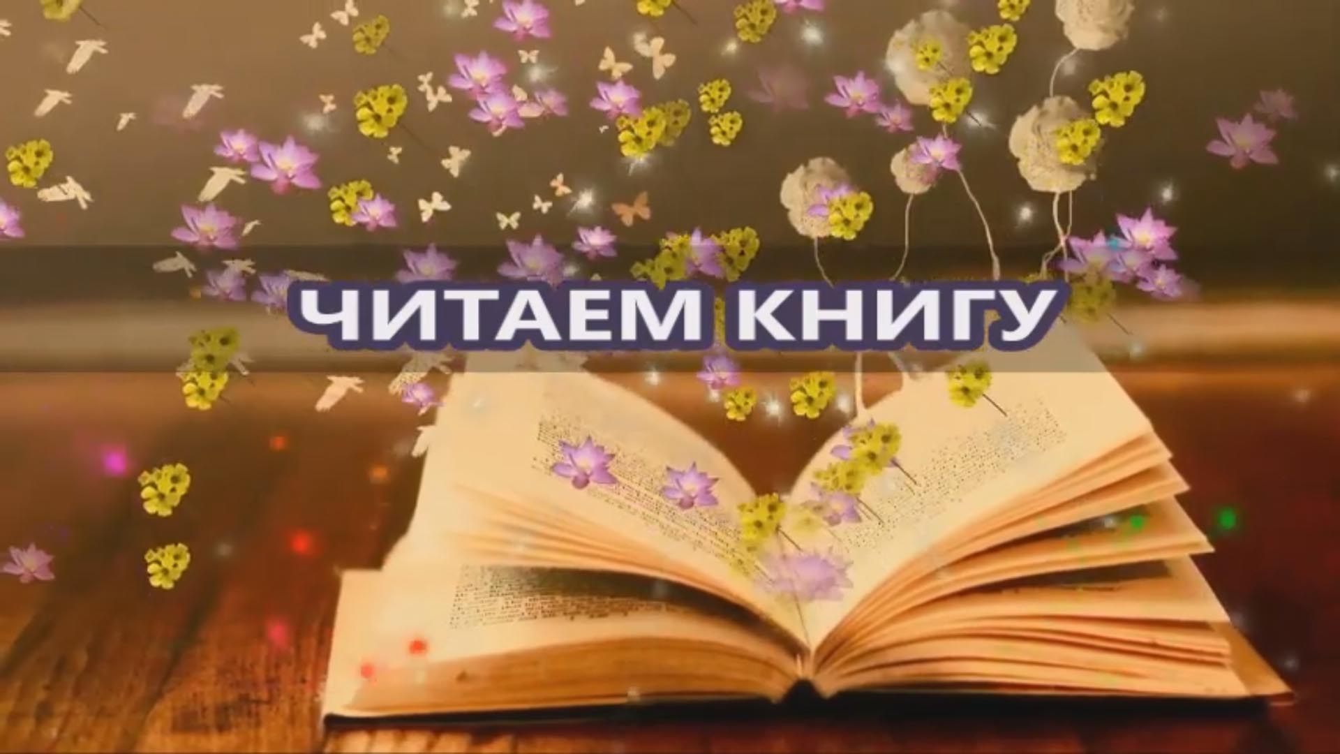 Читаем книгу, смотрим фильм. Свен Нурдквист. История о том, как Финдус потерялся