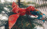 ПТИЧКИ-ЗАКЛИЧКИ