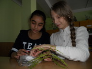 Оазис живой природы