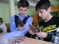 Оазис живой природы