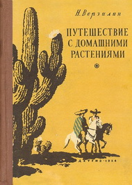 Последователь Робинзона
