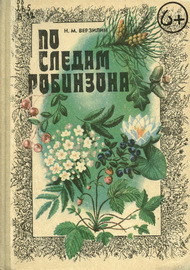 Последователь Робинзона