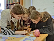 Урок драконоведения