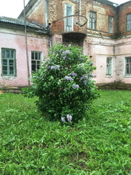 Очарование дворянской усадьбы. 
Пришвинка в Моховом 