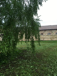 Очарование дворянской усадьбы. 
Пришвинка в Моховом 