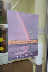
Истории, написанные объективом