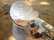 Уходит тихо лето, одетое в листву…