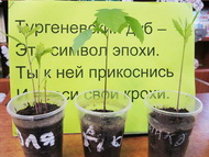 Богатовская детская библиотека, Самарская область